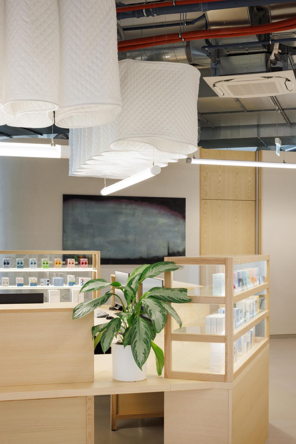 joyjoy-studio_matejhakar©2024_L3A0566