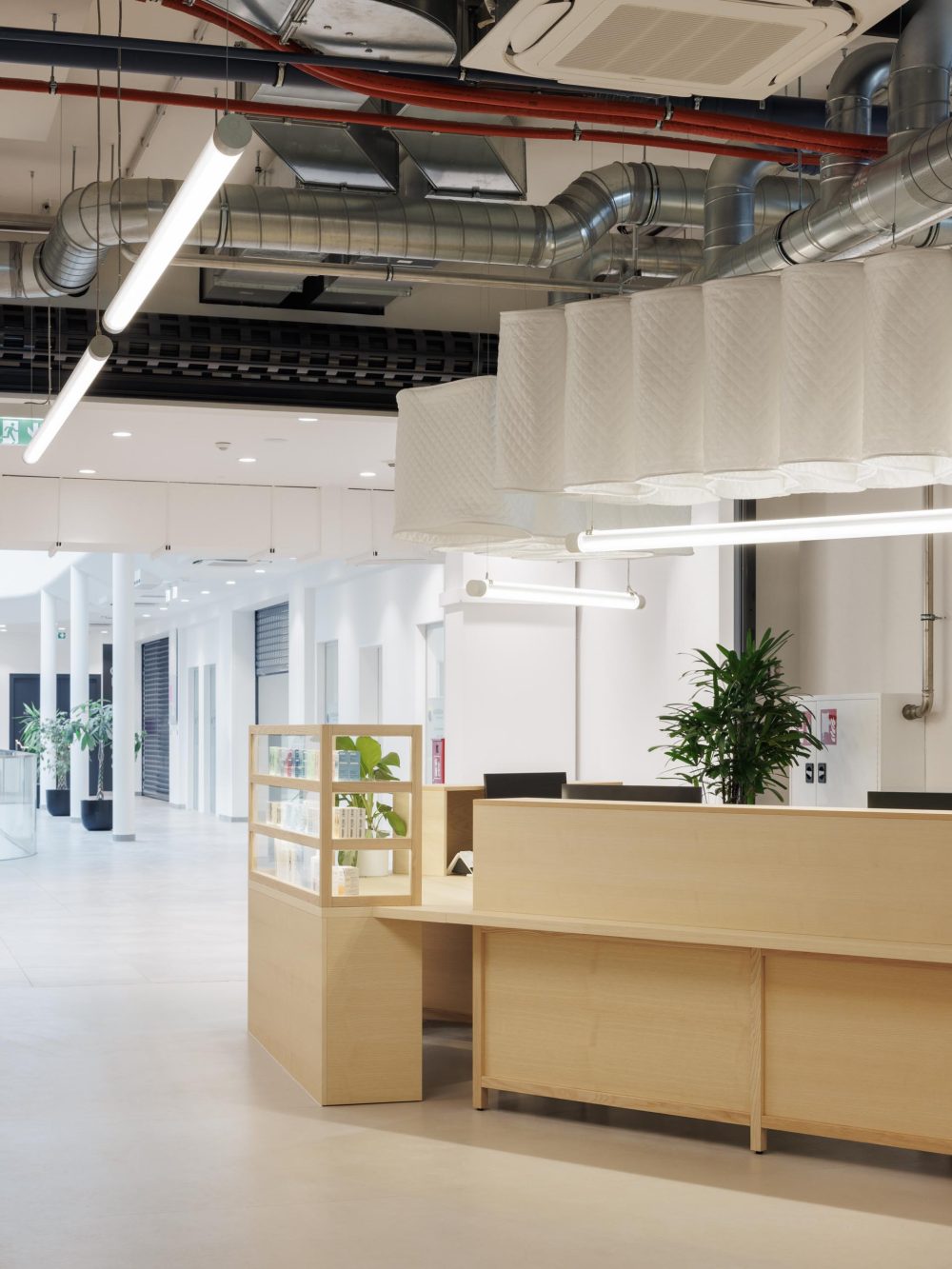 joyjoy-studio_matejhakar©2024_L3A0568