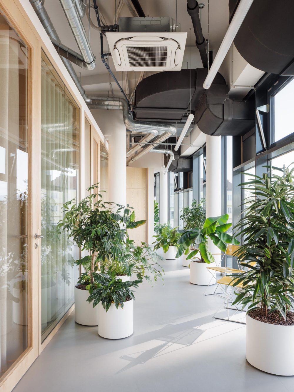 joyjoy-studio_matejhakar©2024_L3A0573