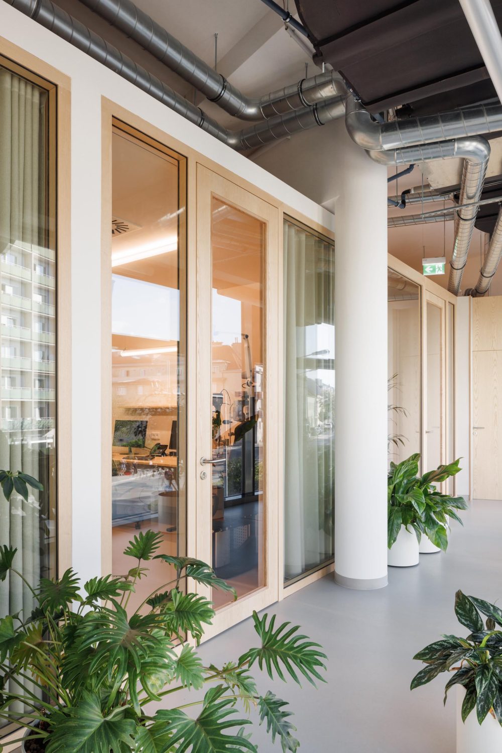 joyjoy-studio_matejhakar©2024_L3A0581