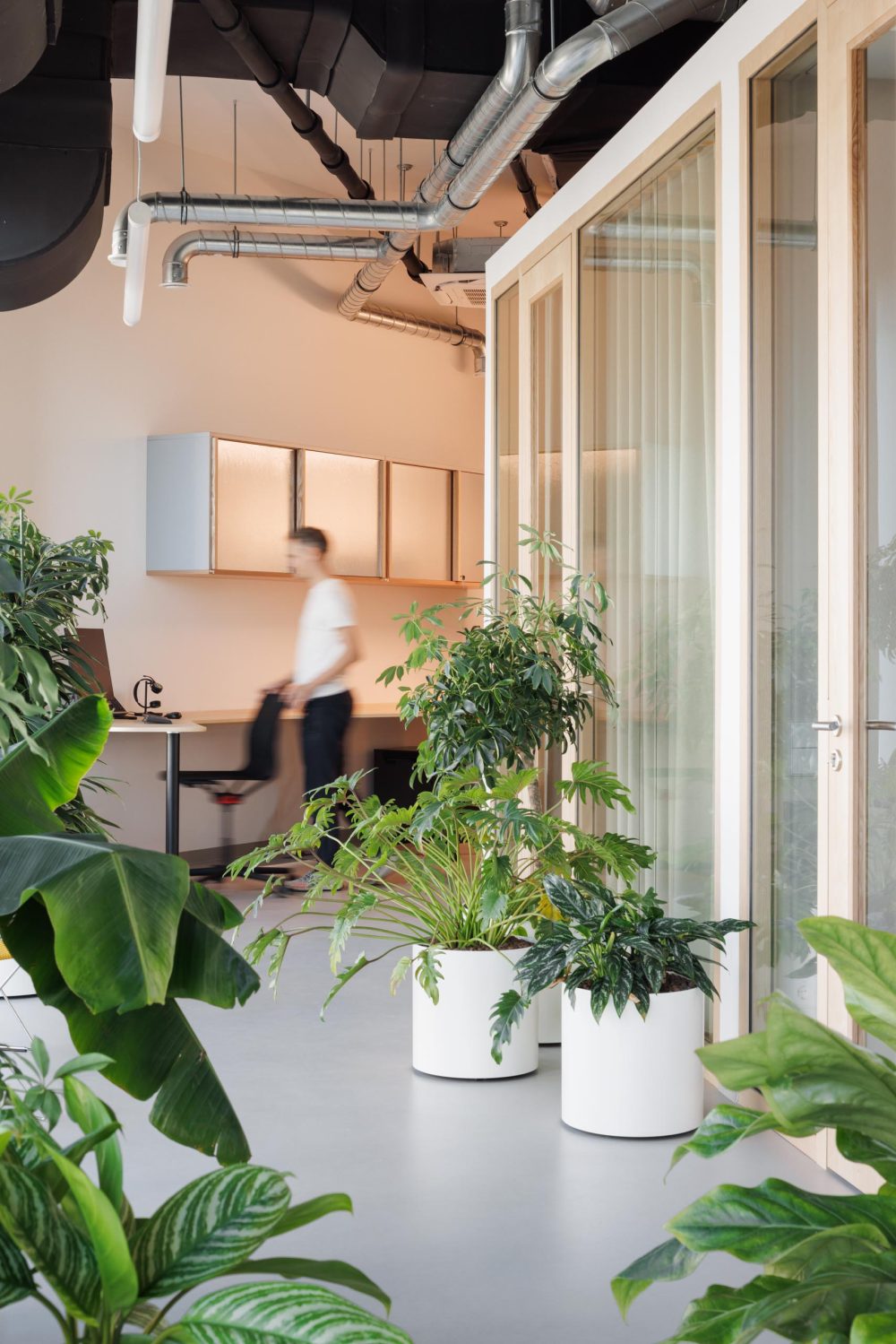 joyjoy-studio_matejhakar©2024_L3A0603