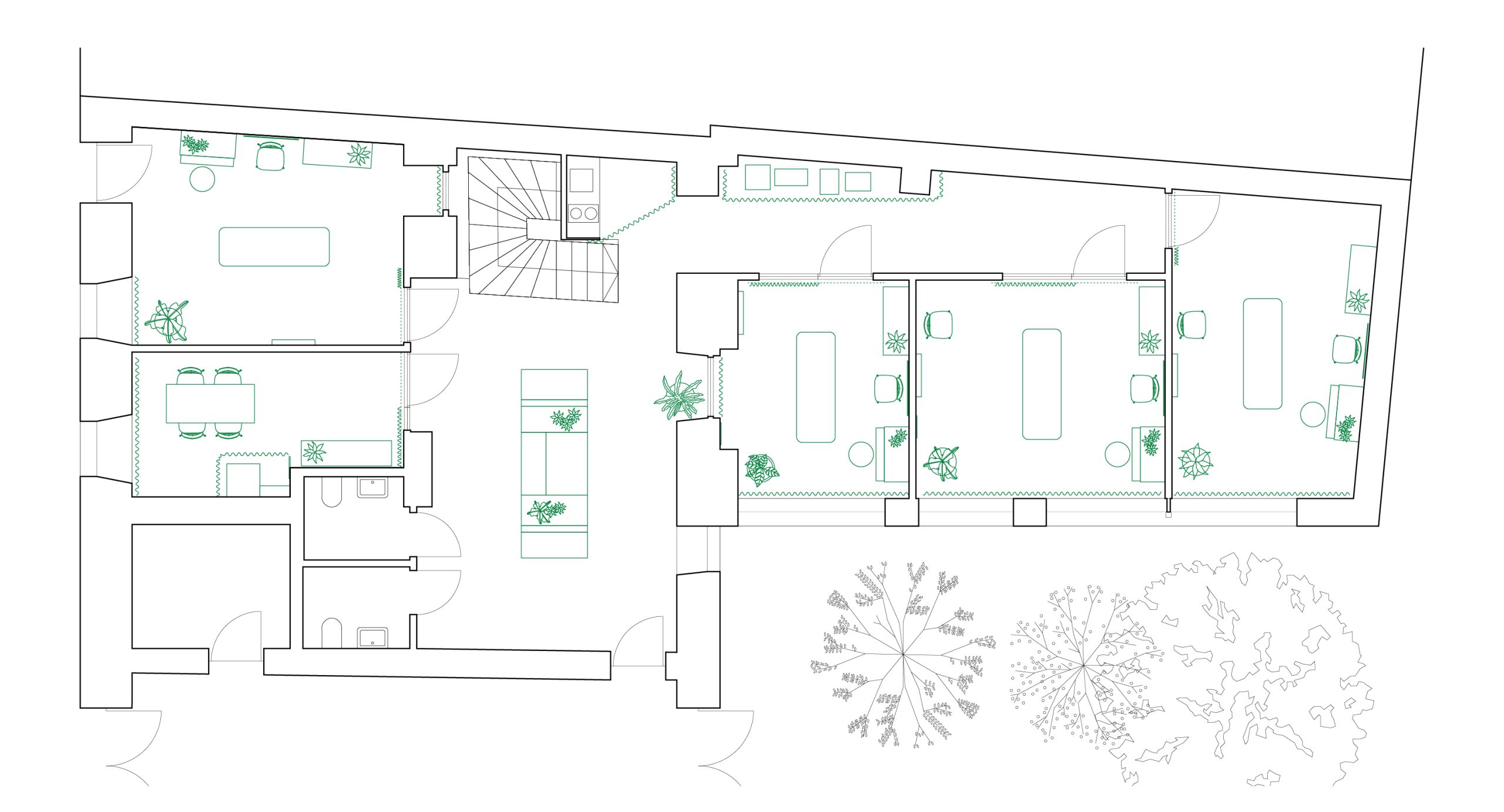 beatrixgasse_physio_floorplan01
