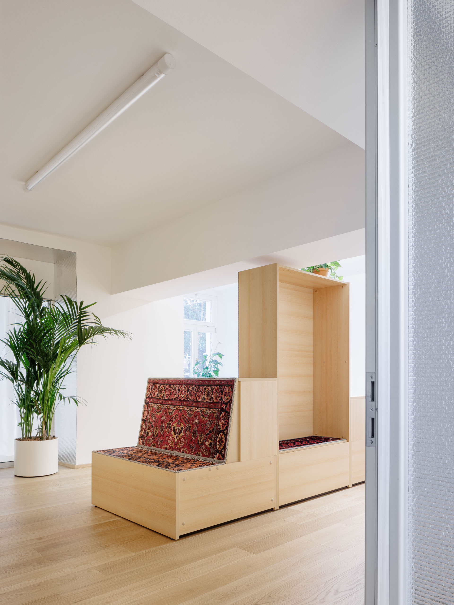 joyjoy_matejhakar©_L3A7959